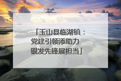 玉山县临湖镇：党建引领添助力 银发先锋展担当